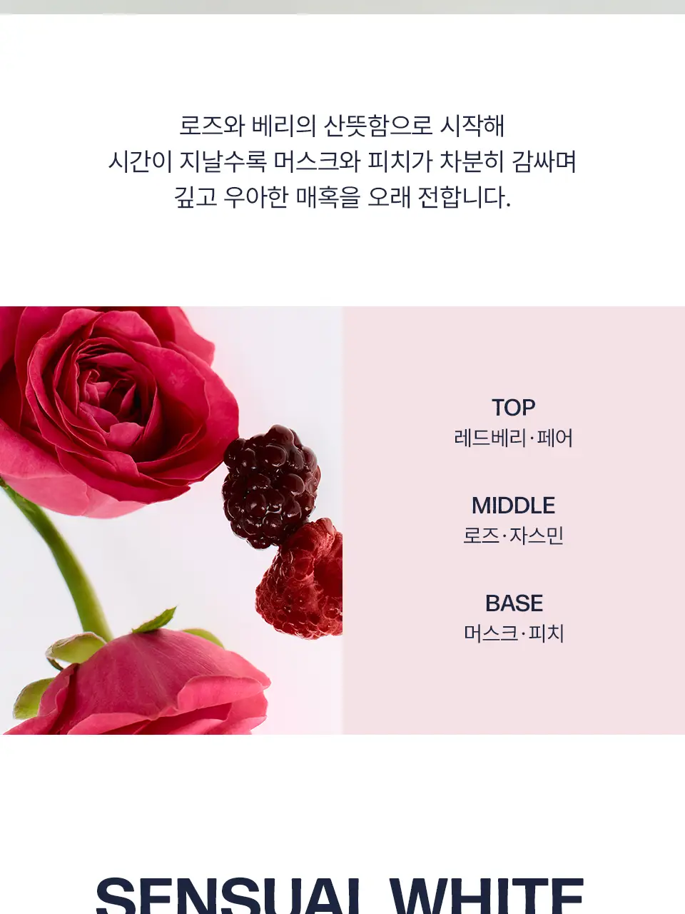 [퍼퓸핸드크림/키링증정] 어노브 글로우 고보습 핸드크림 40ml 단독 기획 (+키링 택1) 상세페이지 15